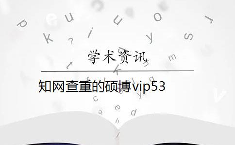 知网查重的硕博vip53