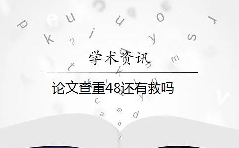 论文查重48还有救吗