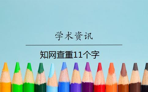 知网查重11个字