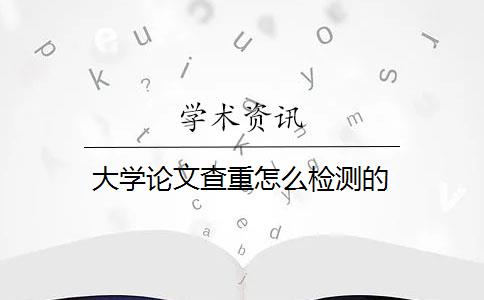 大学论文查重怎么检测的