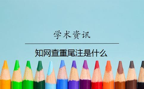 知网查重尾注是什么