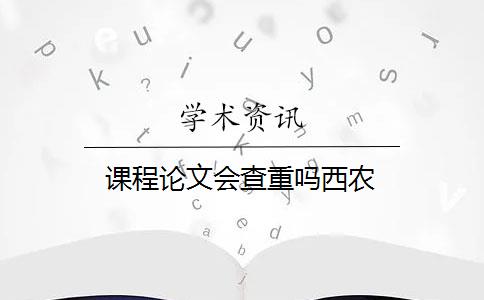 课程论文会查重吗西农