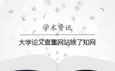 大学论文查重网站除了知网