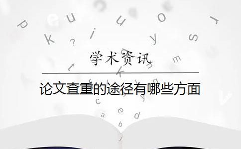 论文查重的途径有哪些方面