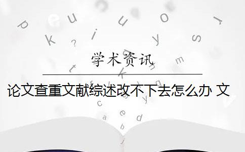 论文查重文献综述改不下去怎么办 文献综述的查重率是多少？