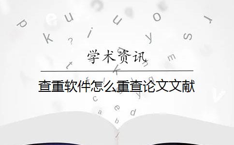 查重软件怎么重查论文文献