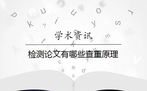 检测论文有哪些查重原理