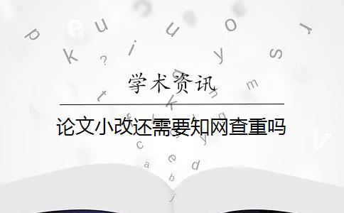 论文小改还需要知网查重吗