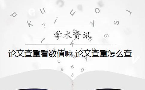 论文查重看数值嘛 论文查重怎么查？