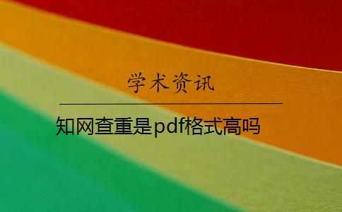 知网查重是pdf格式高吗