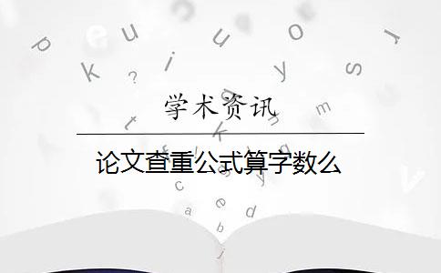 论文查重公式算字数么